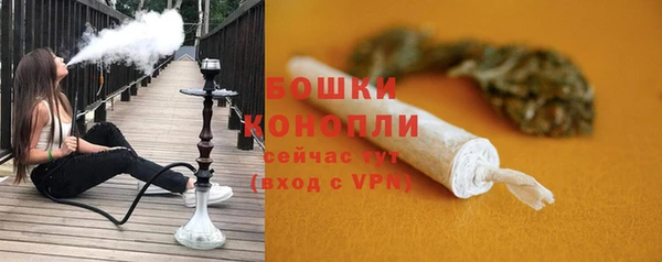 дурь Белокуриха