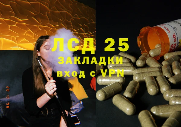 гашик Беломорск